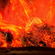 Illustration for article titled Oh Hey Look, More Incredible emDark Souls/em Shots